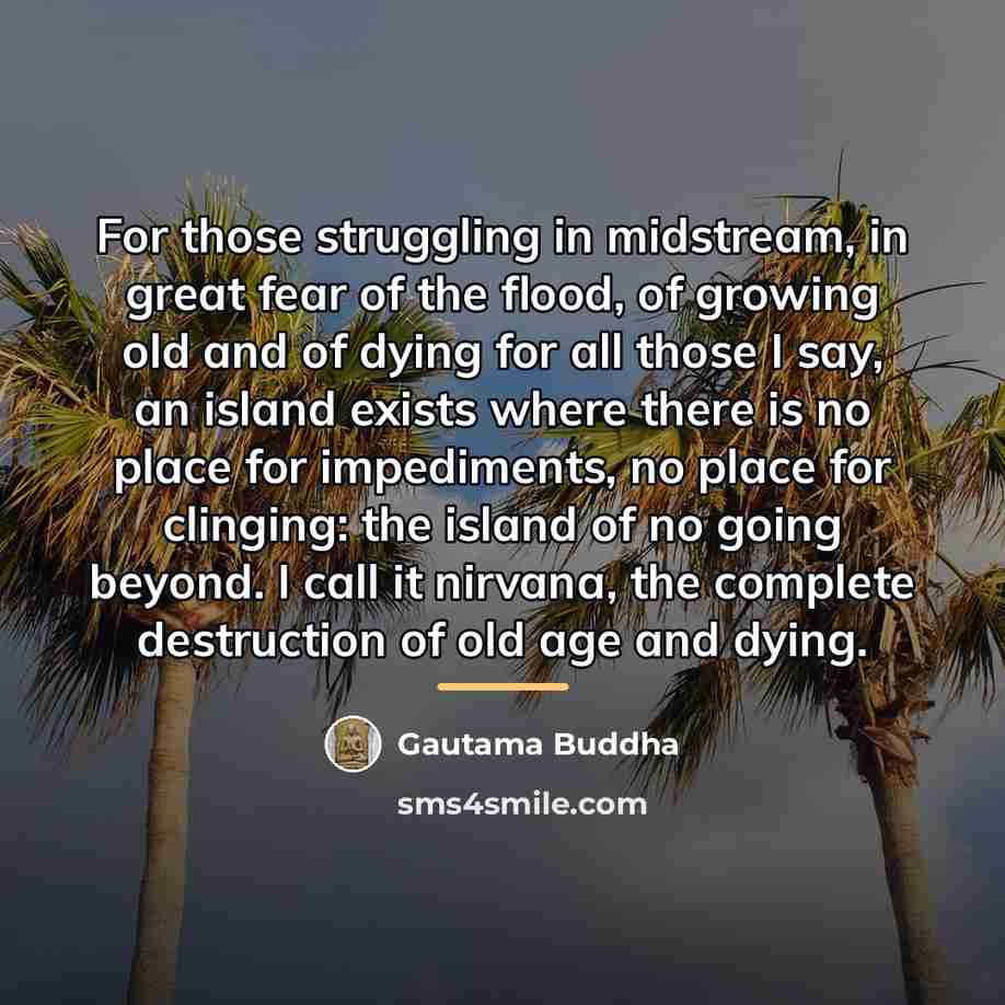 “For those struggling in midstream, in great fear of the…” quote by Gautama Buddha