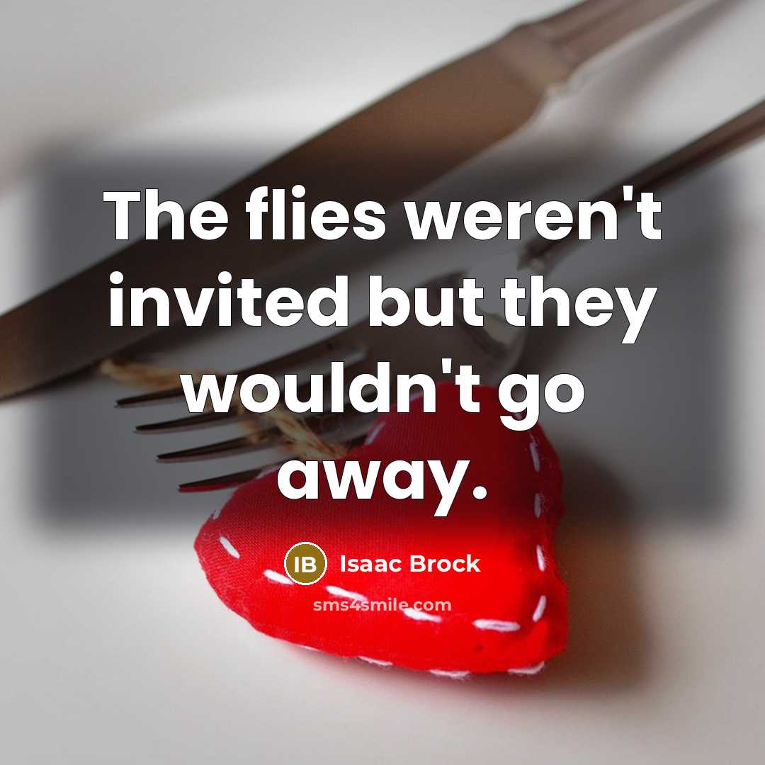 “The flies weren't invited but they wouldn't go away.…” quote by Isaac Brock