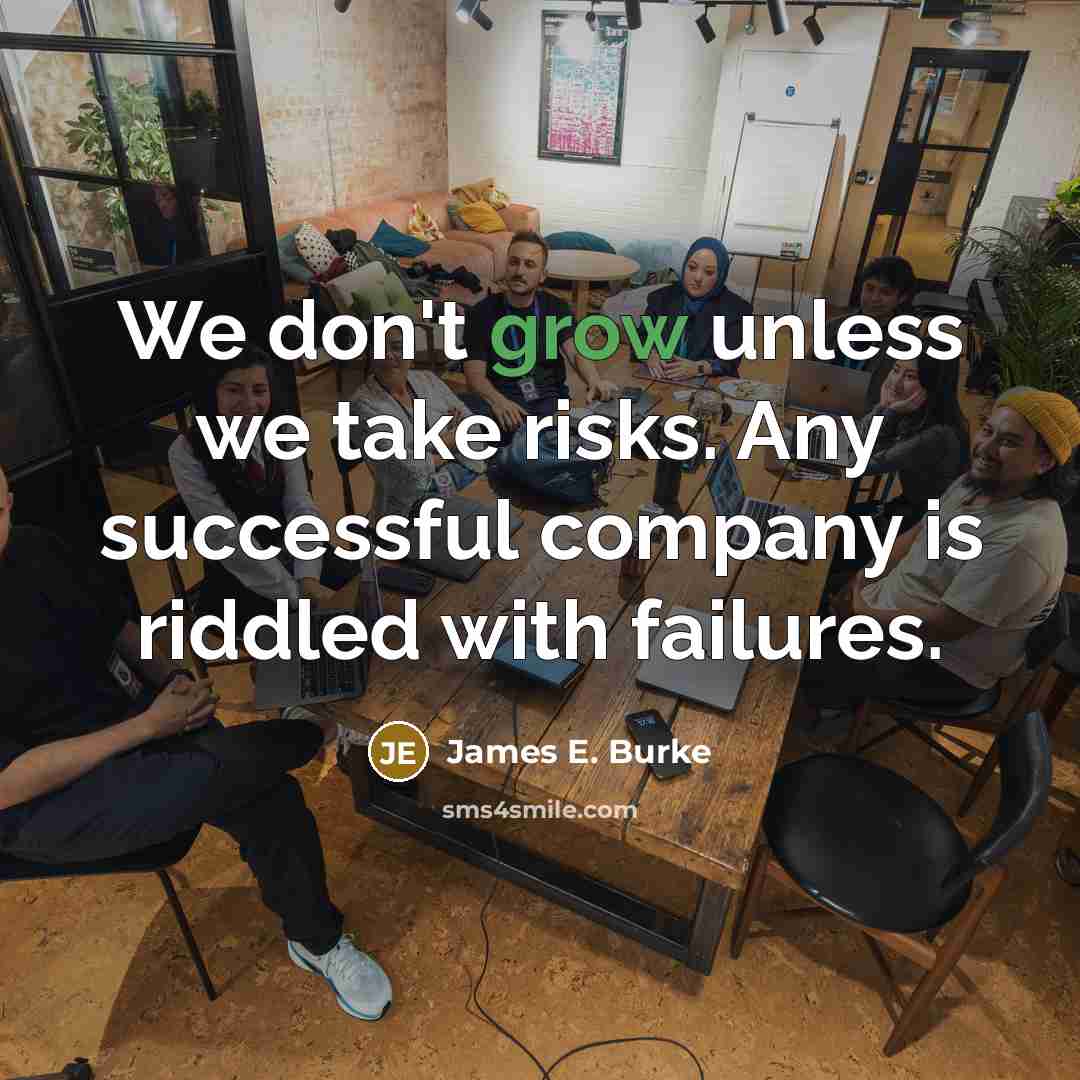 “We don't grow unless we take risks. Any successful company…” quote by James E. Burke