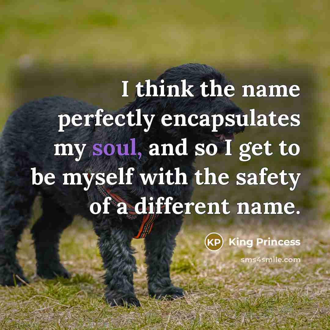 “I think the name perfectly encapsulates my soul, and so…” quote by King Princess