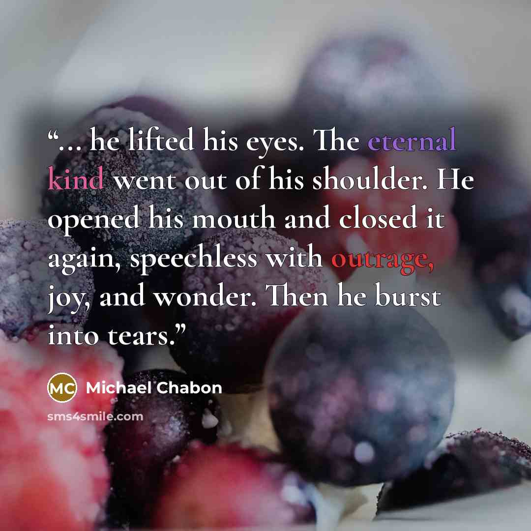 “... he lifted his eyes. The eternal kind went out of his shoulder. He opened his mouth and closed it again, speechless with outrage, joy, and wonder. Then he burst into tears.” quote by Michael Chabon