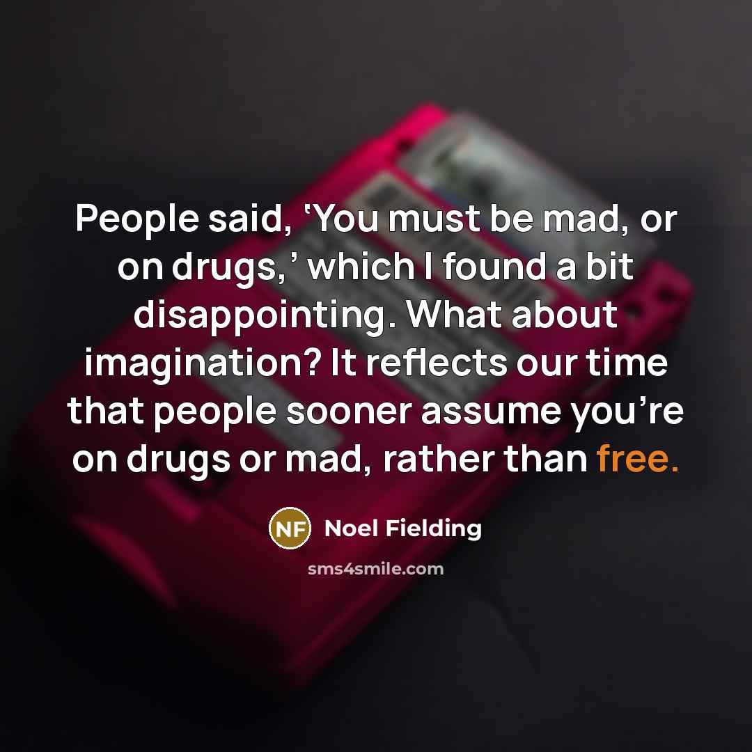“People said, ‘You must be mad, or on drugs,’ which…” quote by Noel Fielding