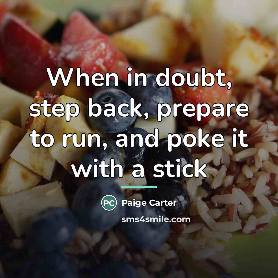 “When in doubt, step back, prepare to run, and poke…” quote by Paige Carter