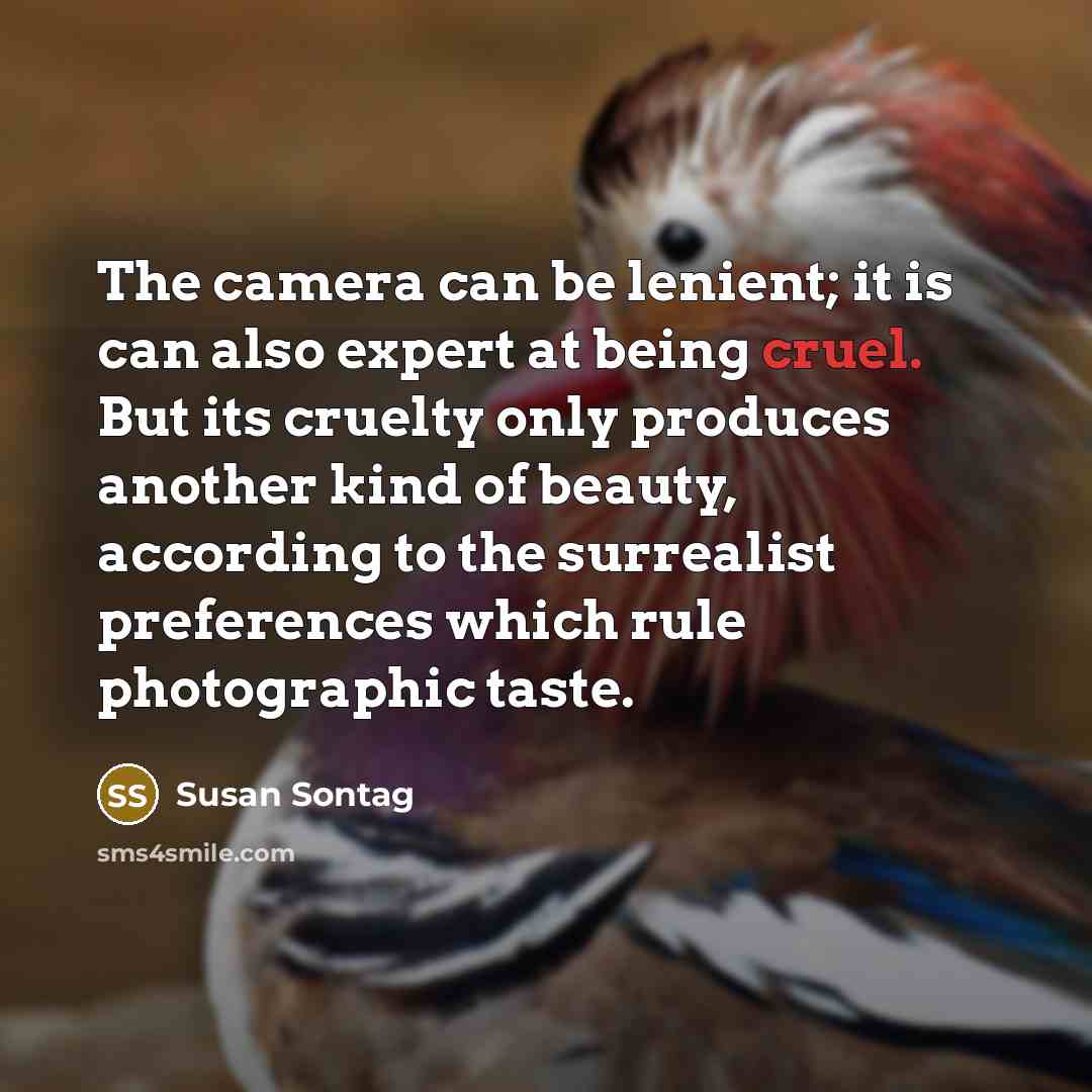 “The camera can be lenient; it is can also expert…” quote by Susan Sontag