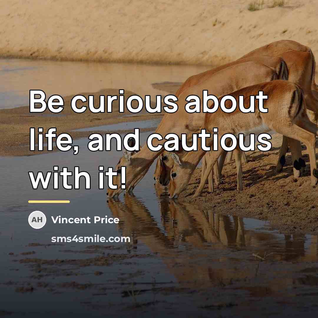 “Be curious about life, and cautious with it!…” quote by Vincent Price