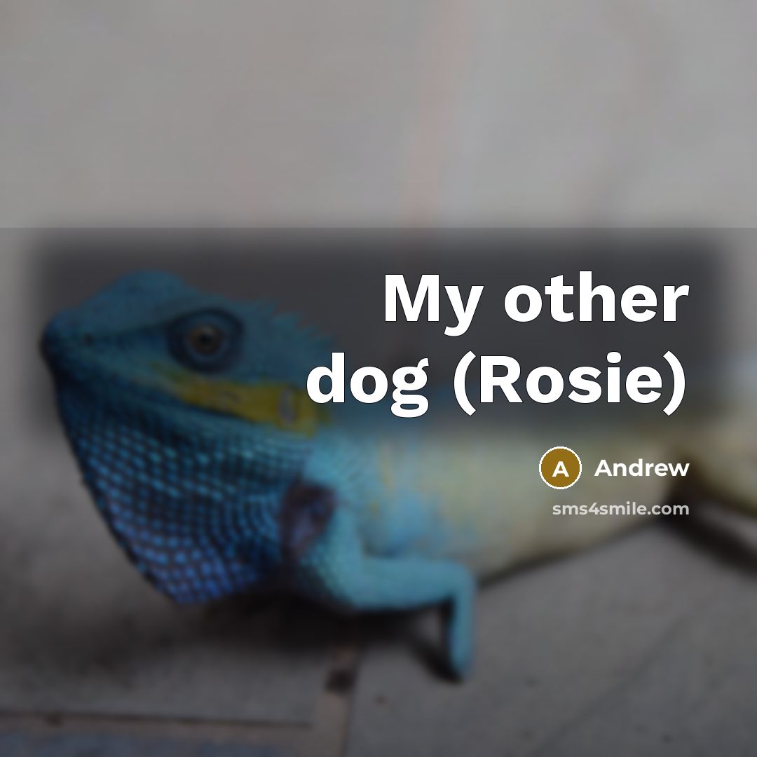 “My other dog (Rosie)” quote by Andrew