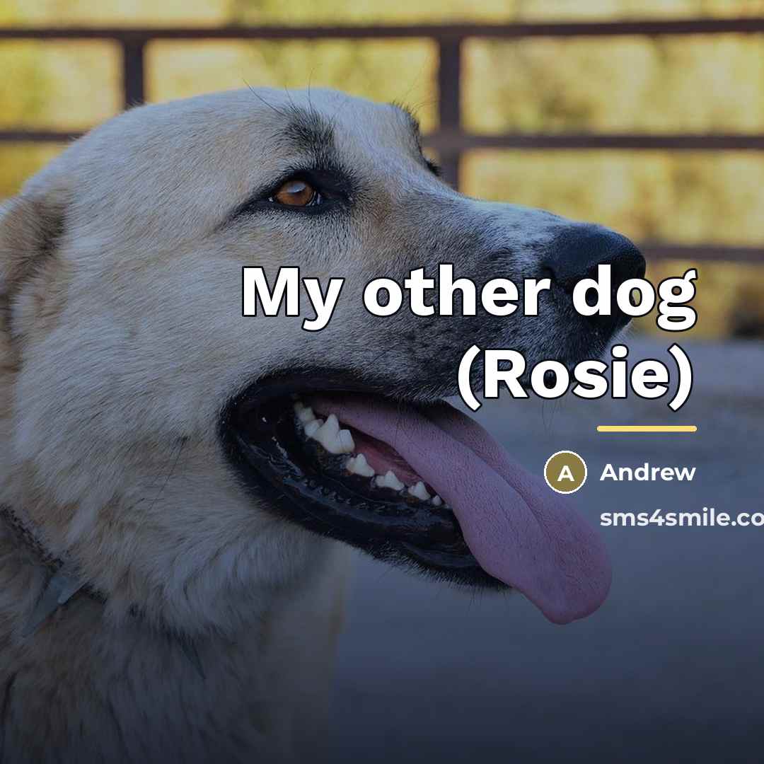 “My other dog (Rosie)…” quote by Andrew