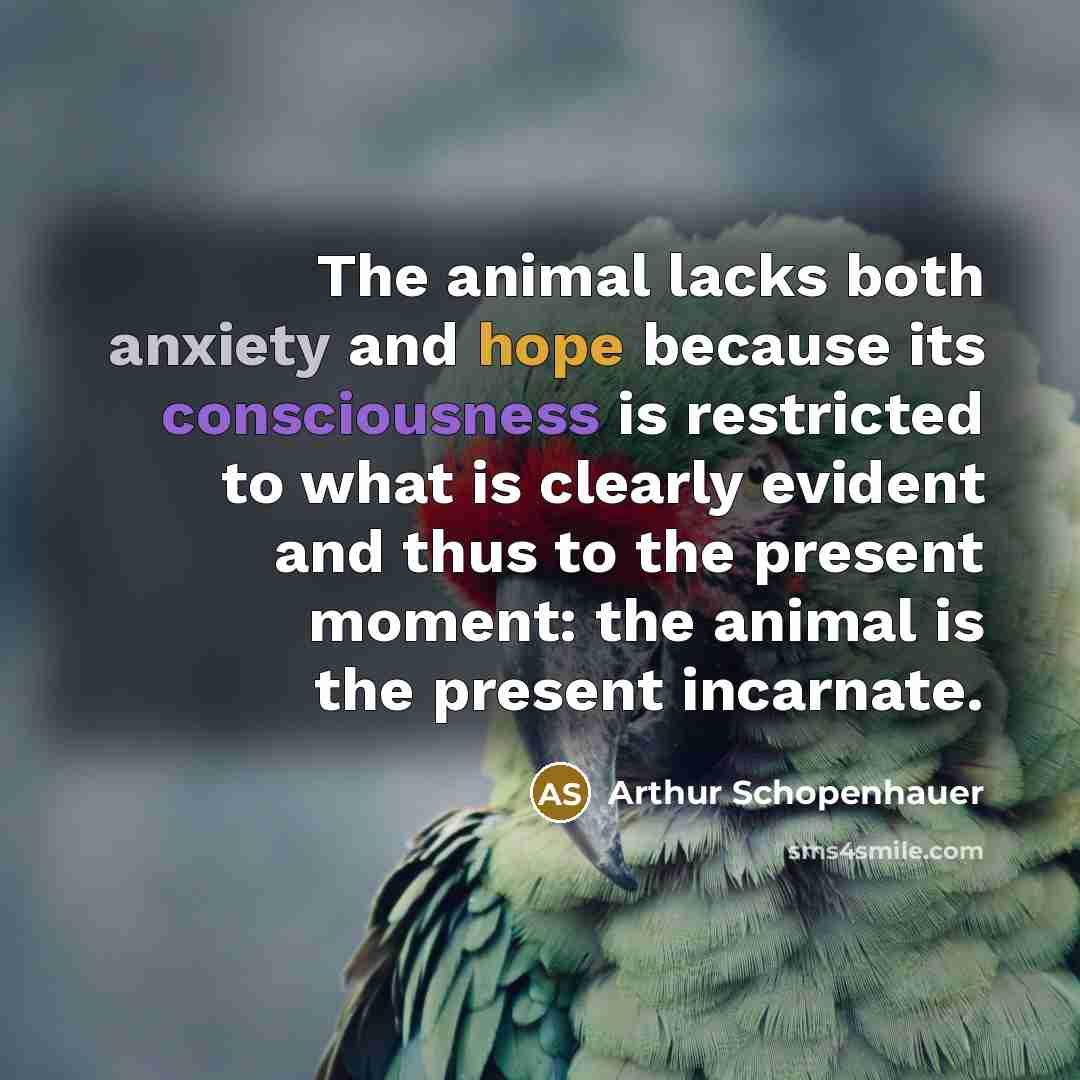 “The animal lacks both anxiety and hope because its consciousness…” quote by Arthur Schopenhauer