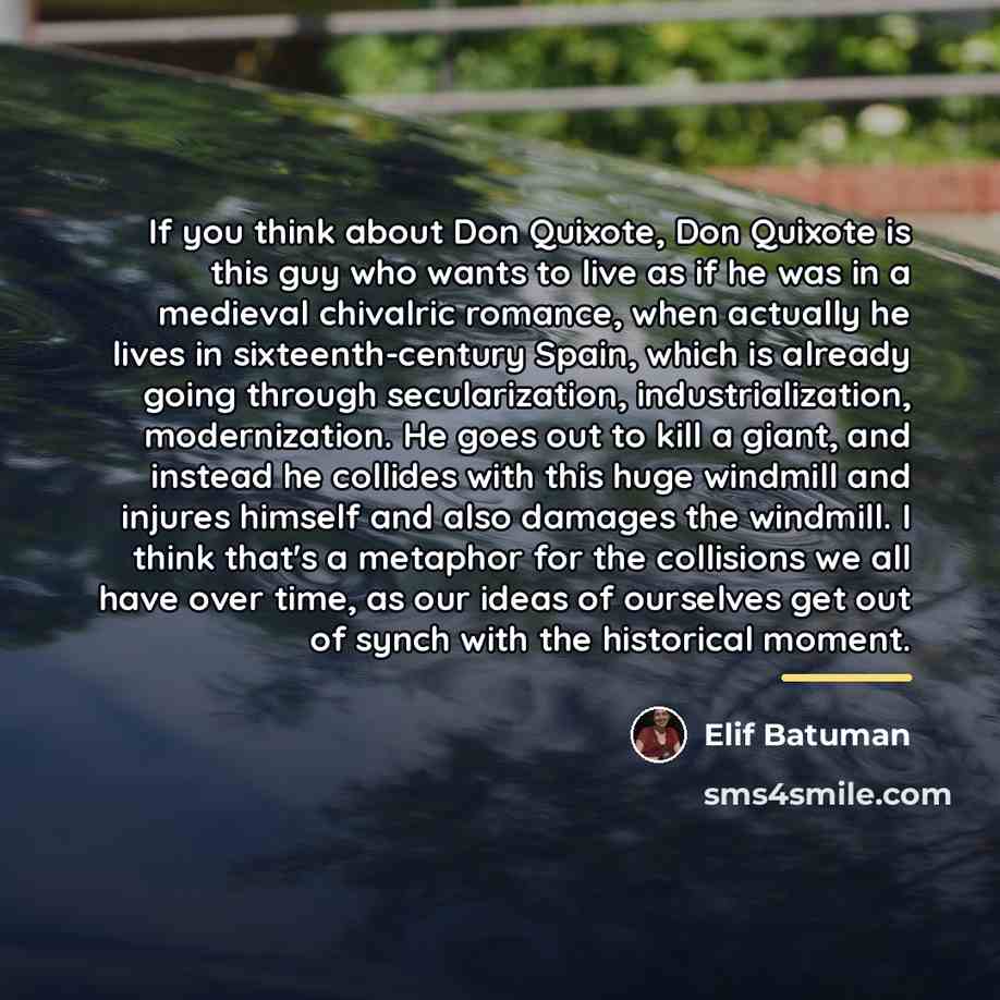 “If you think about Don Quixote, Don Quixote is this…” quote by Elif Batuman