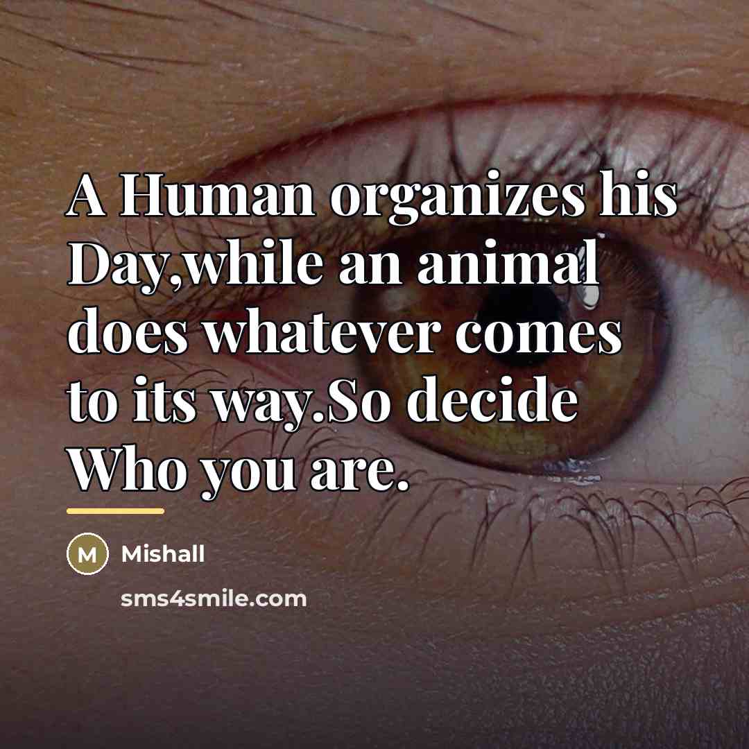 “A Human organizes his Day,while an animal does whatever comes…” quote by Mishall