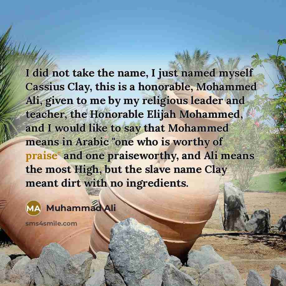 “I did not take the name, I just named myself…” quote by Muhammad Ali