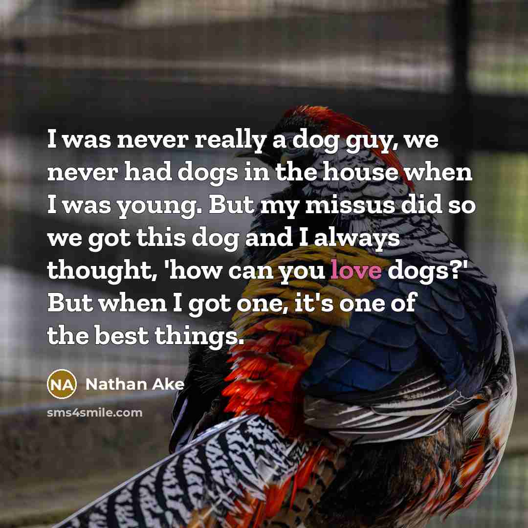 “I was never really a dog guy, we never had dogs in the house when I was young. But my missus did so we got this dog and I always thought, 'how can you love dogs?' But when I got one, it's one of the best things.” quote by Nathan Ake