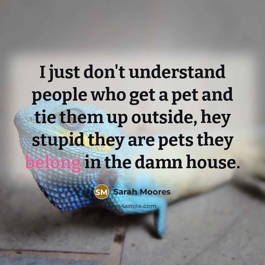 “I just don't understand people who get a pet and…” quote by Sarah Moores
