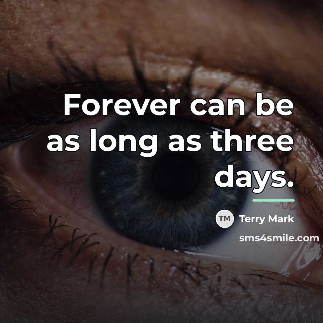 “Forever can be as long as three days.…” quote by Terry Mark