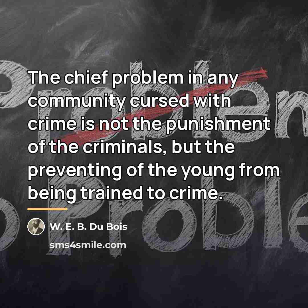 “The chief problem in any community cursed with crime is…” quote by W. E. B. Du Bois