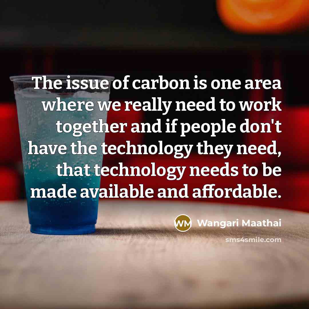 “The issue of carbon is one area where we really…” quote by Wangari Maathai