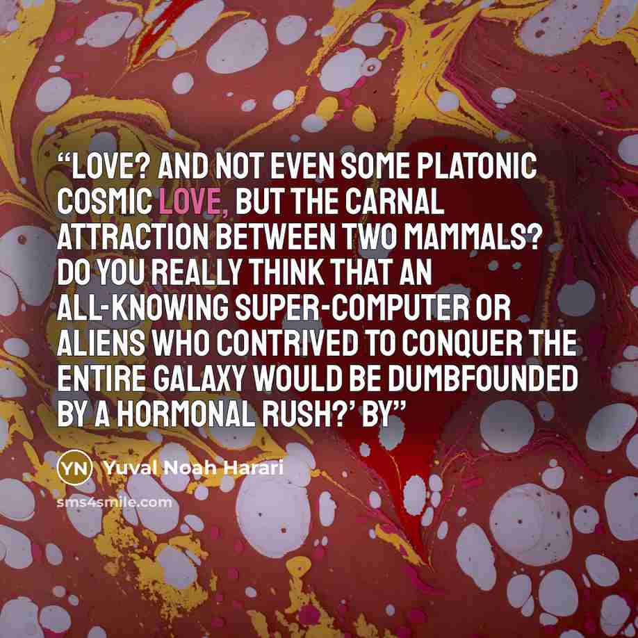 “Love? And not even some platonic cosmic love, but the carnal attraction between two mammals? Do you really think that an all-knowing super-computer or aliens who contrived to conquer the entire galaxy would be dumbfounded by a hormonal rush?’ By” quote by Yuval Noah Harari
