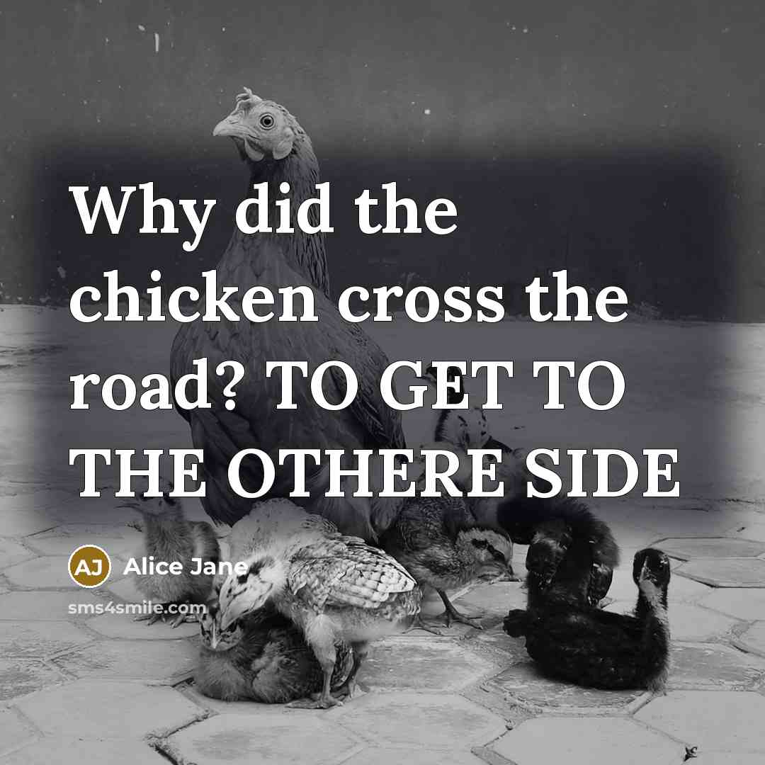 “Why did the chicken cross the road? TO GET TO THE OTHERE SIDE” quote by Alice Jane