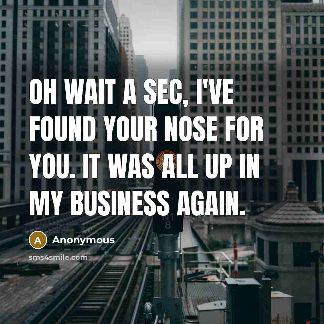 “Oh wait a sec, I've found your nose for you.…” quote by Anonymous