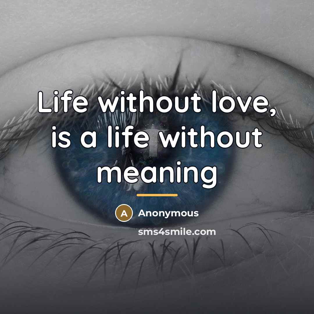 “Life without love, is a life without meaning…” quote by Anonymous