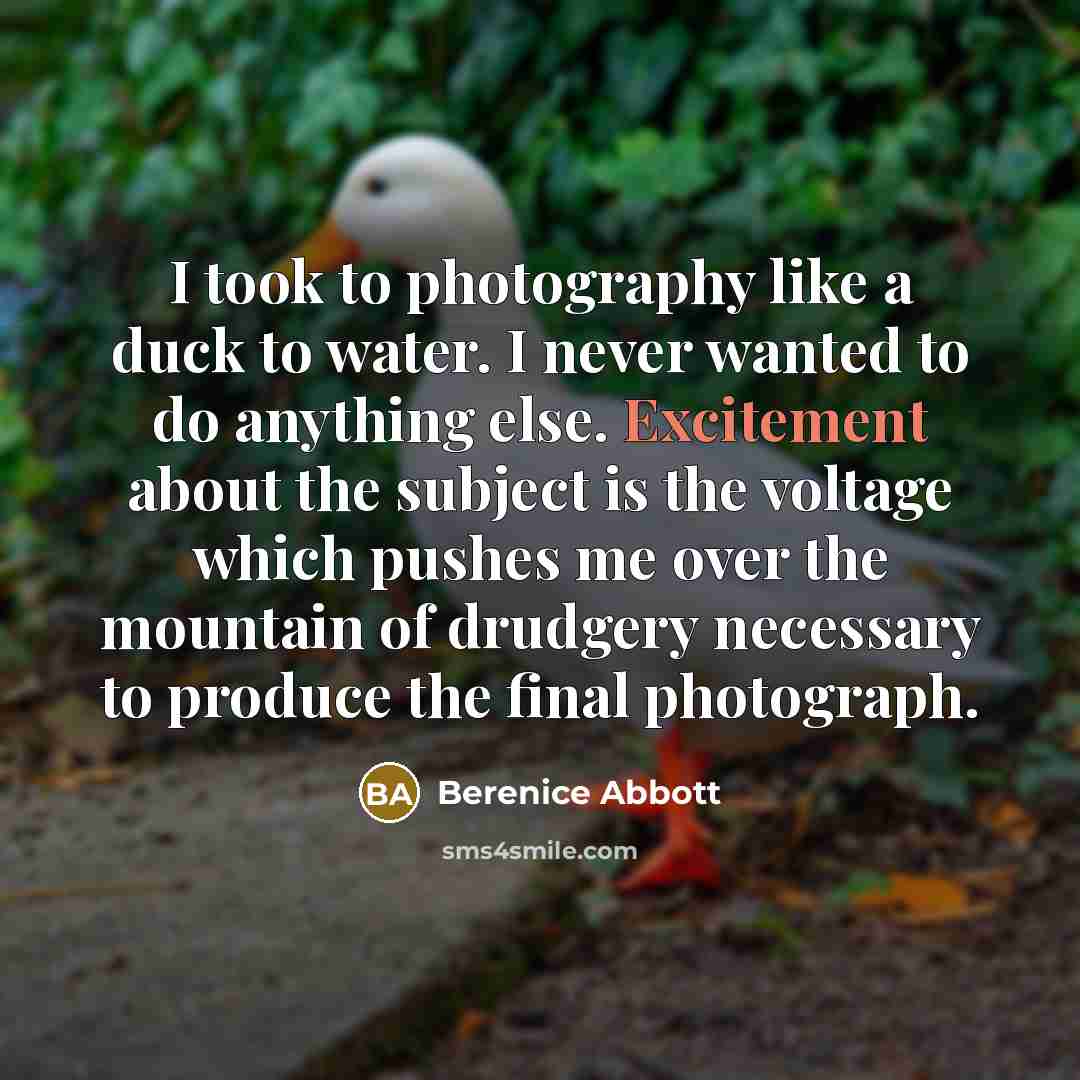 “I took to photography like a duck to water. I…” quote by Berenice Abbott
