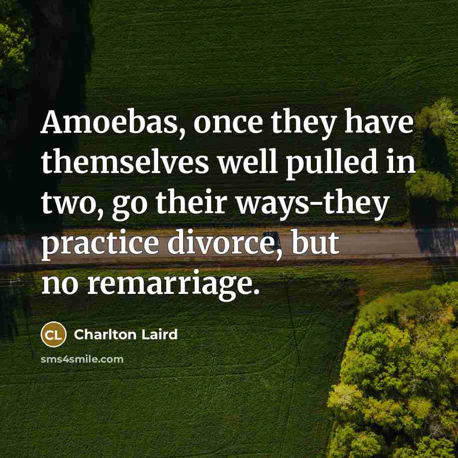 “Amoebas, once they have themselves well pulled in two, go…” quote by Charlton Laird
