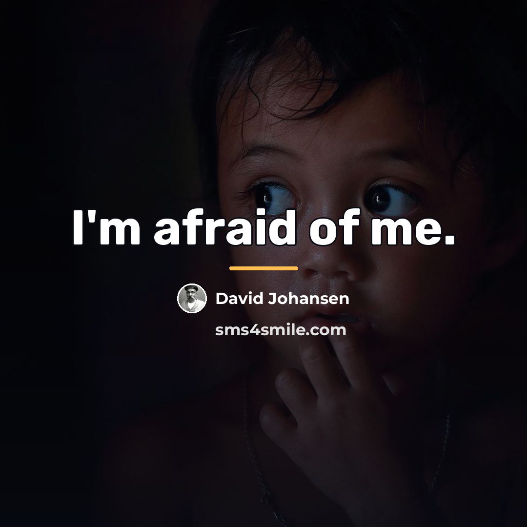 “I'm afraid of me.…” quote by David Johansen