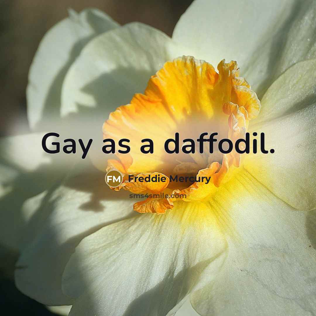 “Gay as a daffodil.…” quote by Freddie Mercury