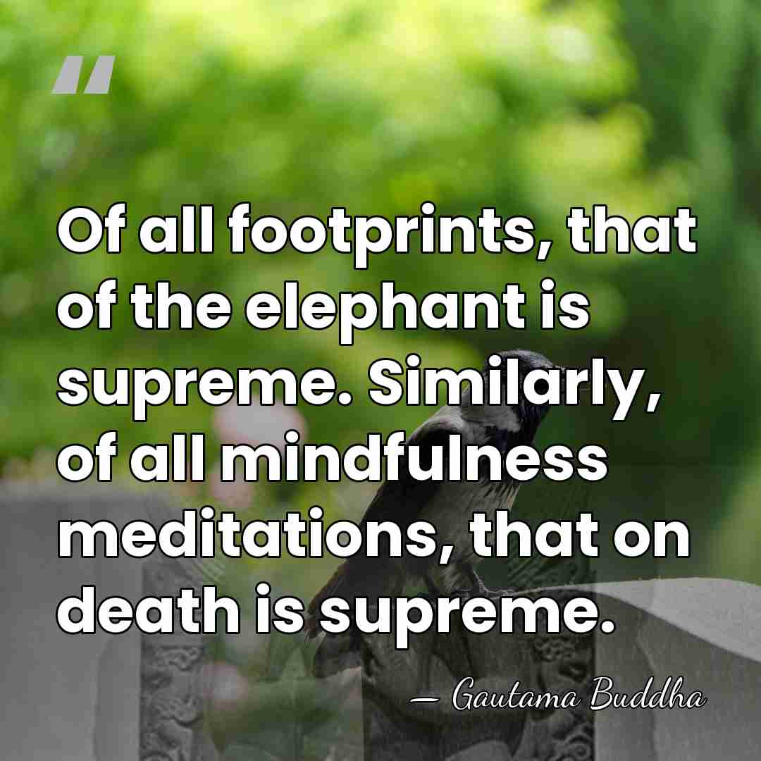 Of all footprints, that of the elephant is supreme. Similarly, of all&hellip; - Gautama Buddha