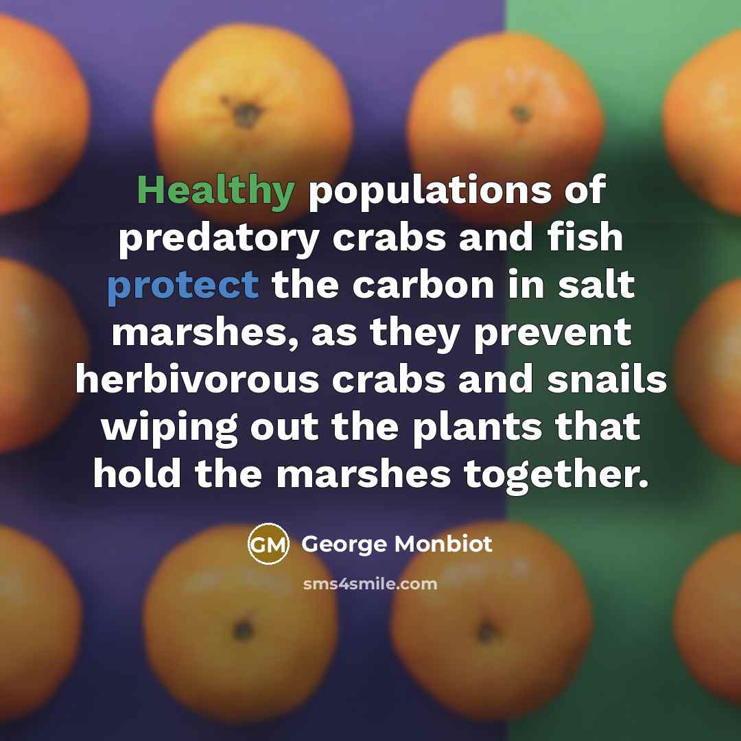 “Healthy populations of predatory crabs and fish protect the carbon…” quote by George Monbiot