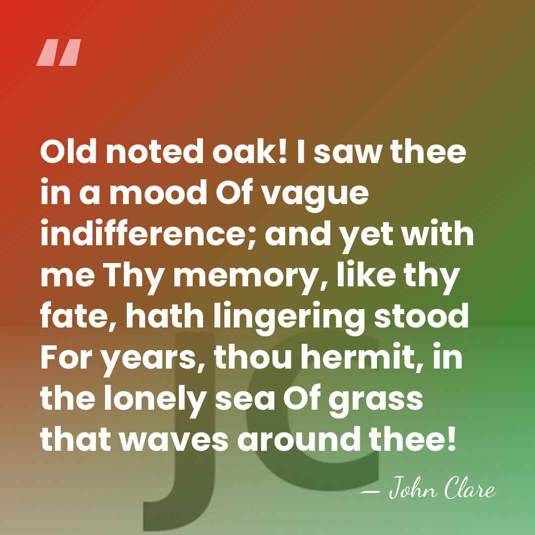 Old noted oak! I saw thee in a mood Of vague indifference;&hellip; - John Clare