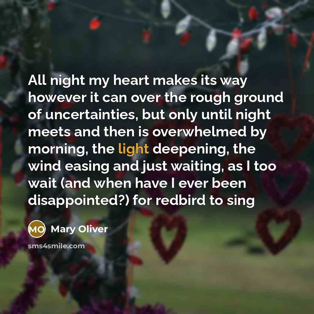 “All night my heart makes its way however it can…” quote by Mary Oliver