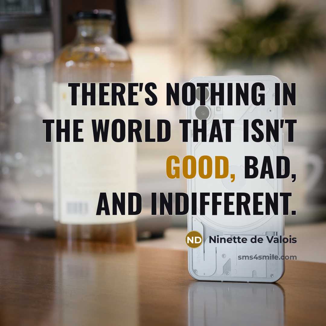 “There's nothing in the world that isn't good, bad, and…” quote by Ninette de Valois