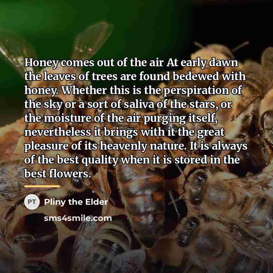 “Honey comes out of the air At early dawn the…” quote by Pliny the Elder