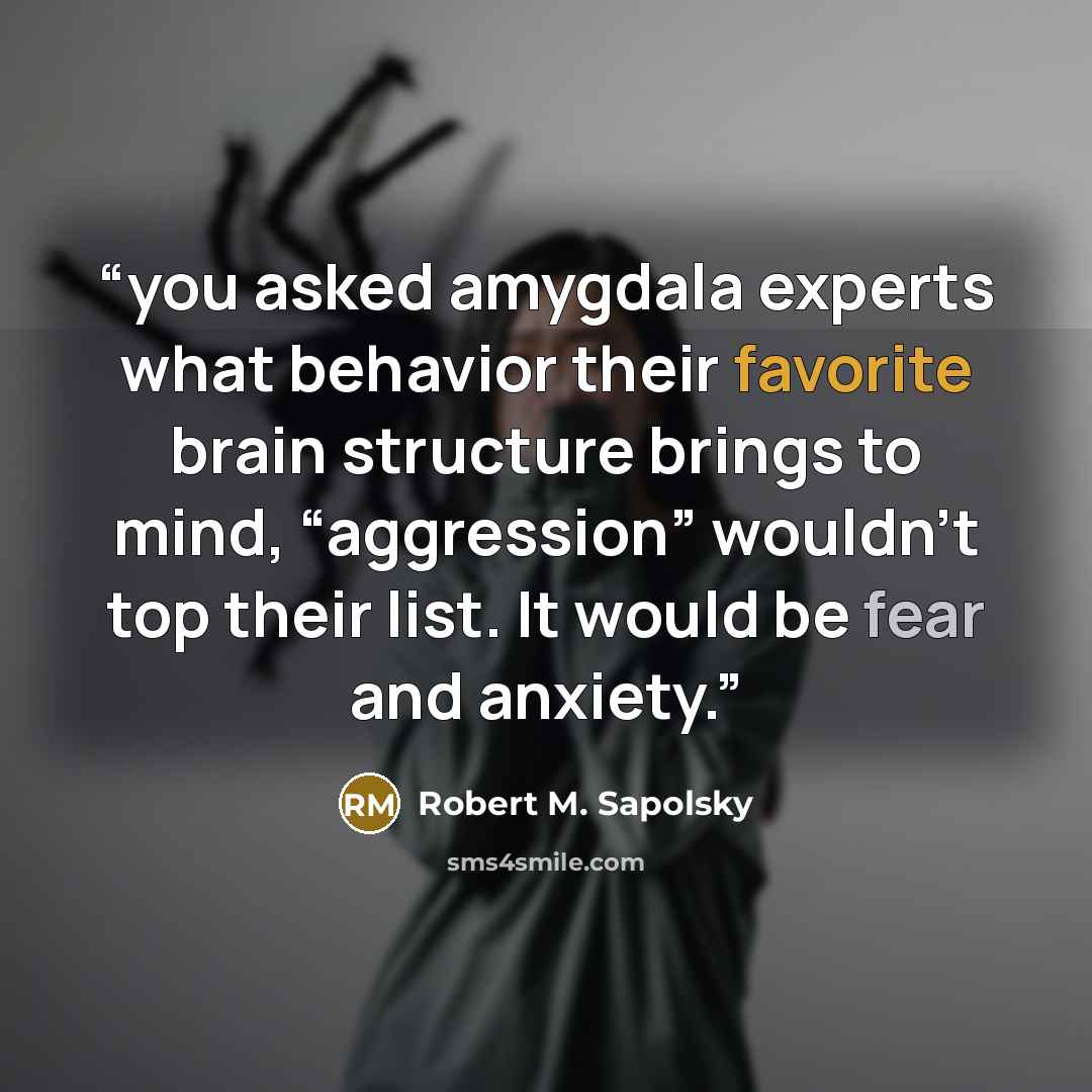 “you asked amygdala experts what behavior their favorite brain structure brings to mind, “aggression” wouldn’t top their list. It would be fear and anxiety.” quote by Robert M. Sapolsky