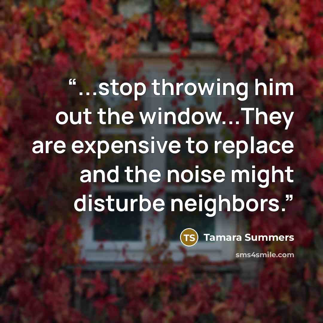 “...stop throwing him out the window...They are expensive to replace and the noise might disturbe neighbors.” quote by Tamara Summers
