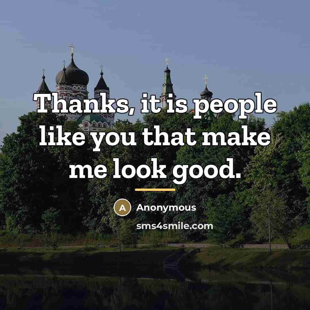 “Thanks, it is people like you that make me look…” quote by Anonymous