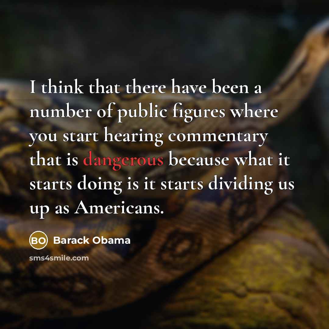 “I think that there have been a number of public figures where you start hearing commentary that is dangerous because what it starts doing is it starts dividing us up as Americans.” quote by Barack Obama