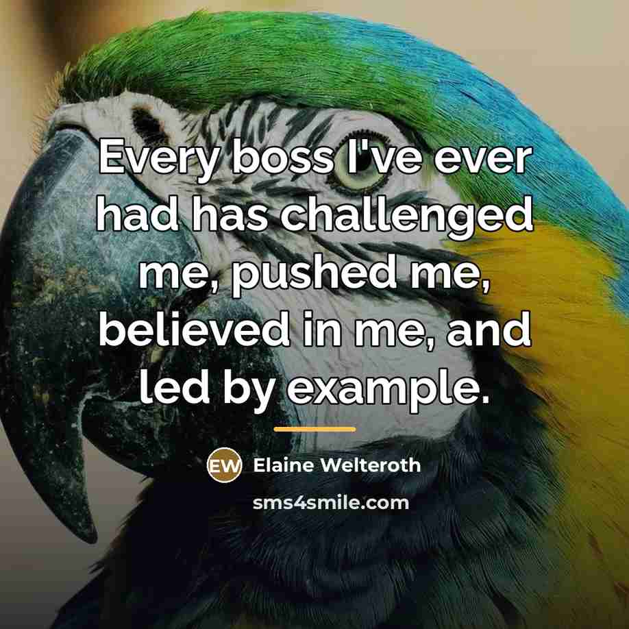 “Every boss I've ever had has challenged me, pushed me,…” quote by Elaine Welteroth