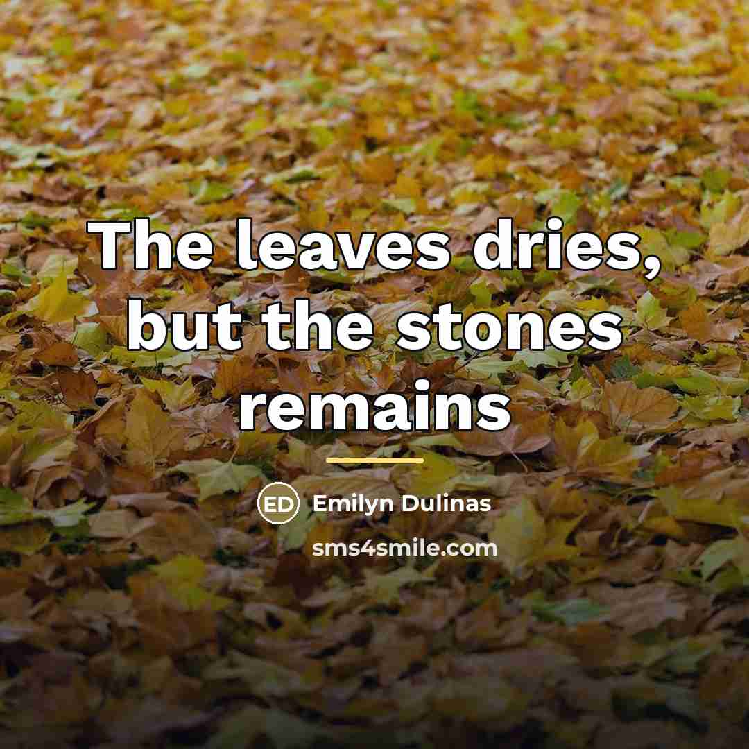 “The leaves dries, but the stones remains…” quote by Emilyn Dulinas