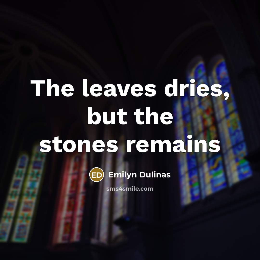 “The leaves dries, but the stones remains” quote by Emilyn Dulinas