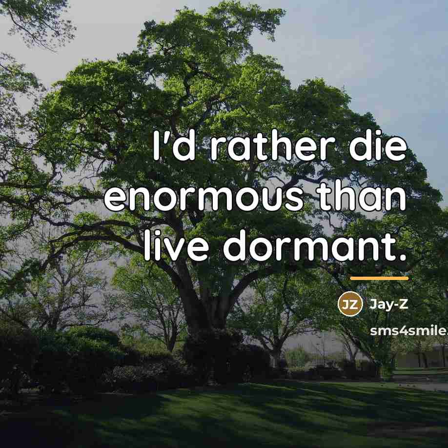 “I'd rather die enormous than live dormant.…” quote by Jay-Z
