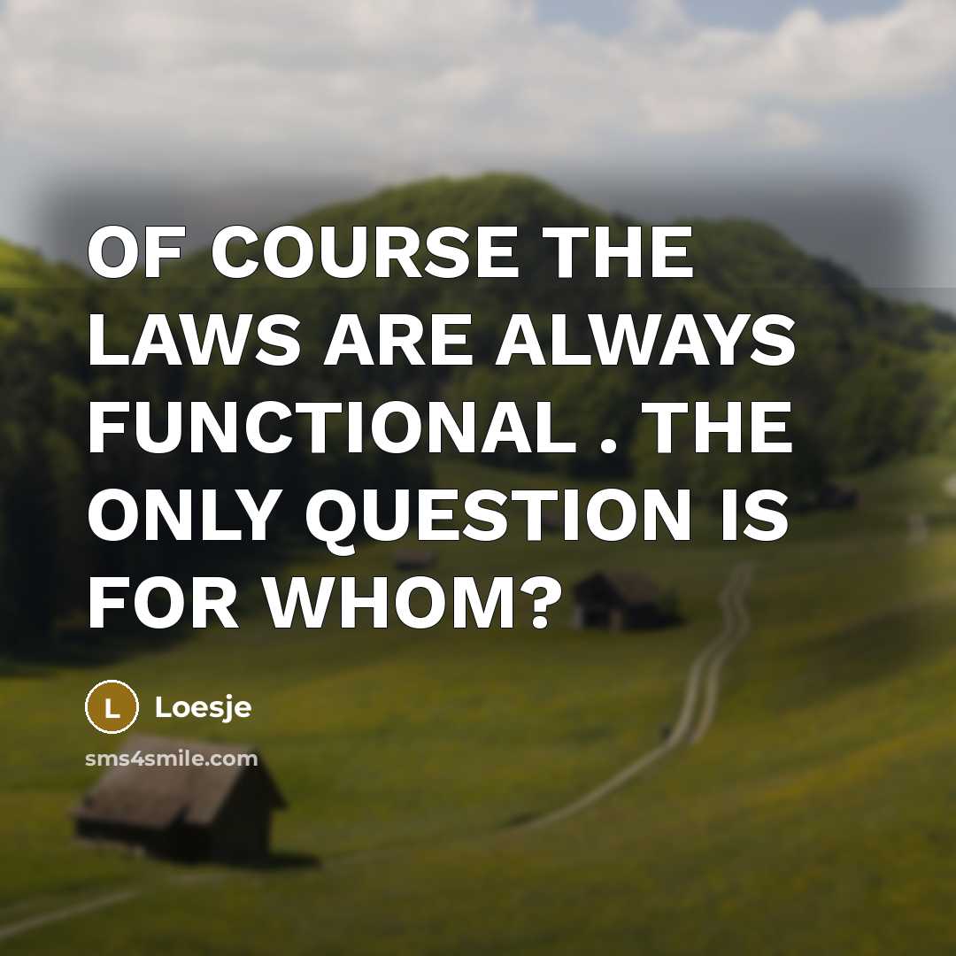 “OF COURSE THE LAWS ARE ALWAYS FUNCTIONAL . THE ONLY…” quote by Loesje