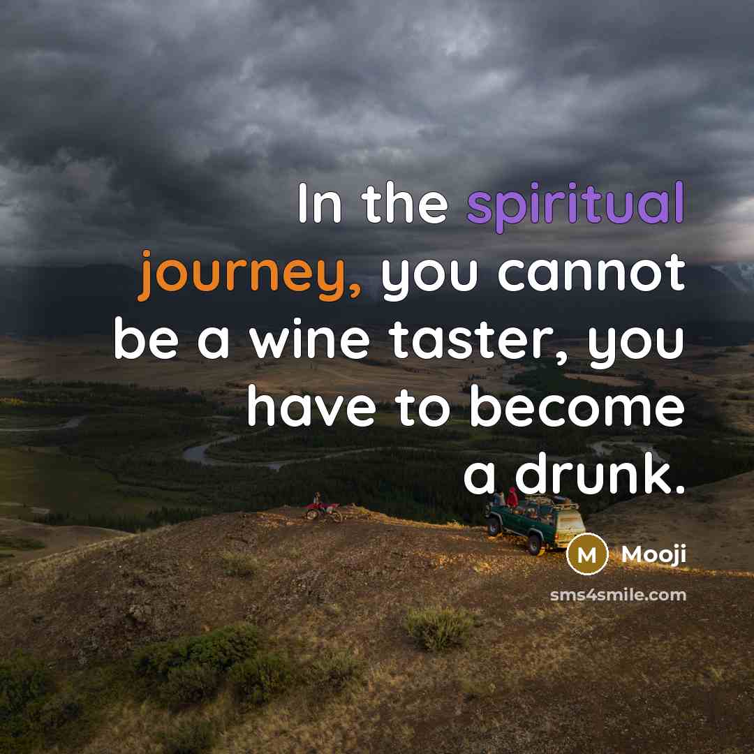 “In the spiritual journey, you cannot be a wine taster,…” quote by Mooji