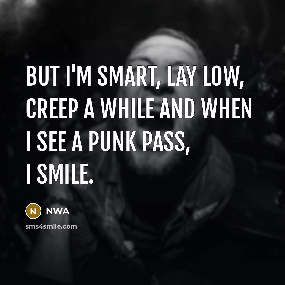 “But I'm smart, lay low, creep a while and when…” quote by NWA