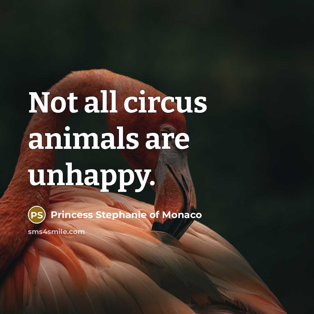 “Not all circus animals are unhappy.” quote by Princess Stephanie of Monaco