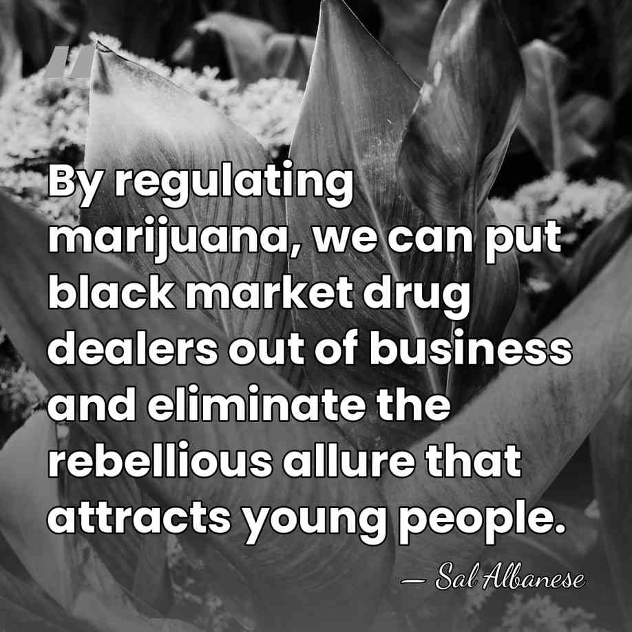 By regulating marijuana, we can put black market drug dealers out of&hellip; - Sal Albanese