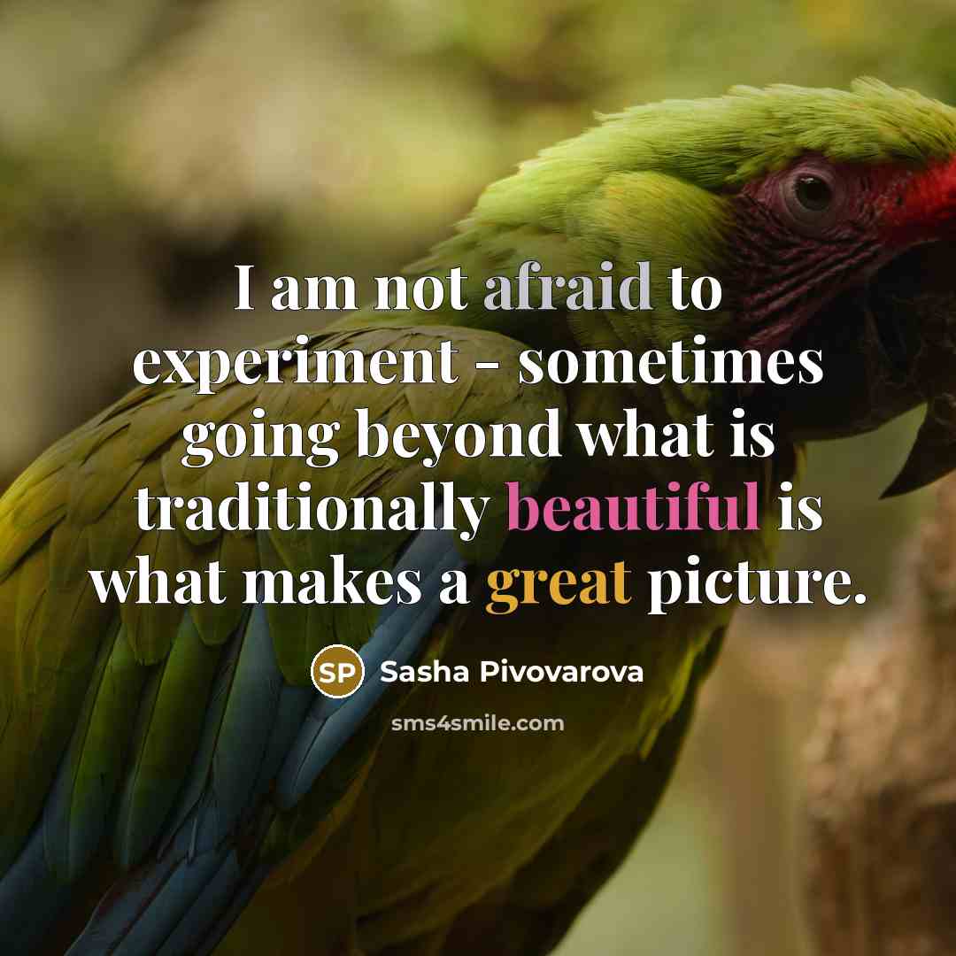 “I am not afraid to experiment - sometimes going beyond…” quote by Sasha Pivovarova