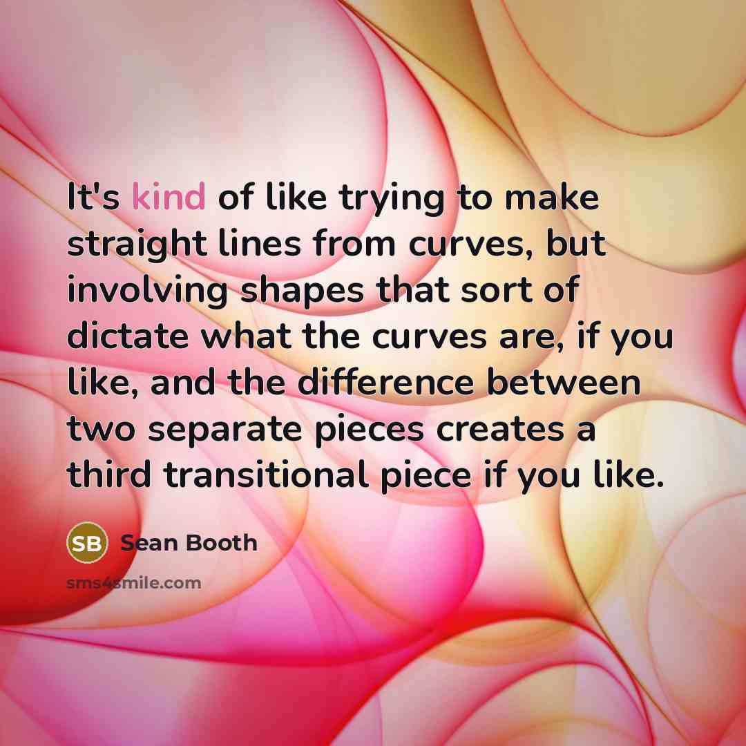 “It's kind of like trying to make straight lines from…” quote by Sean Booth