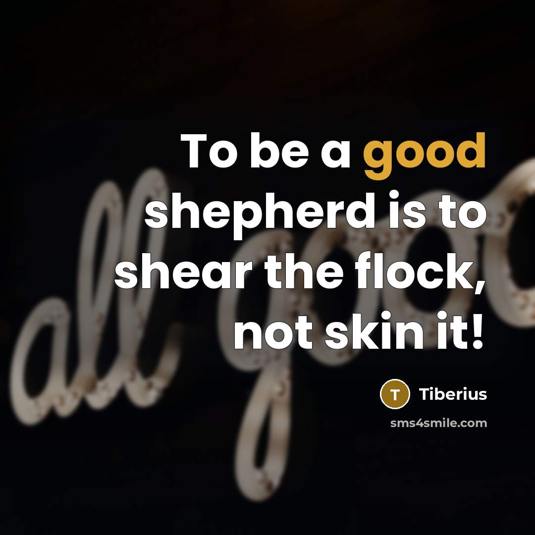 “To be a good shepherd is to shear the flock,…” quote by Tiberius